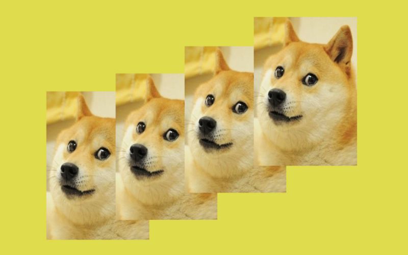 Hình nền Doge Windows meme doge windows 11 doge wallpaper   QuanTriMangcom