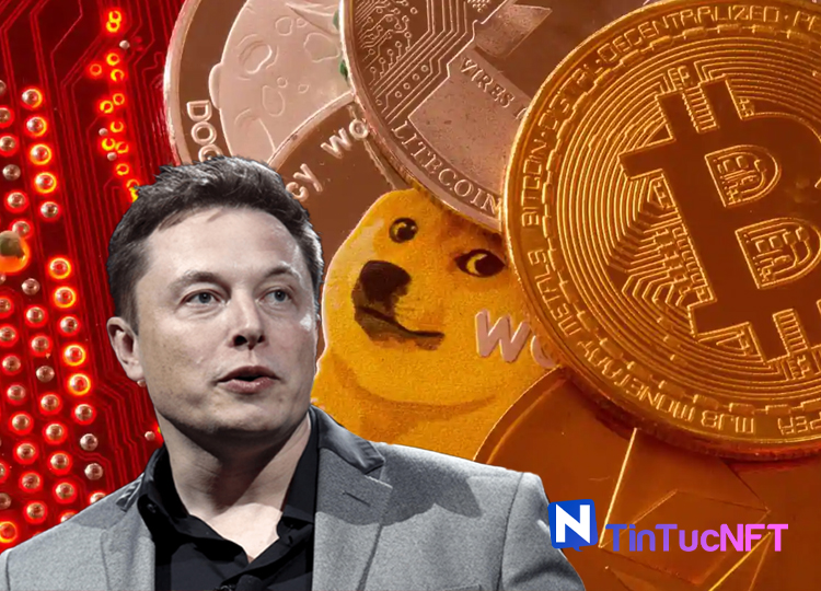 Elon Musk sẽ không bán Bitcoin của mình và tiết lộ tài sản nào nên nắm giữ