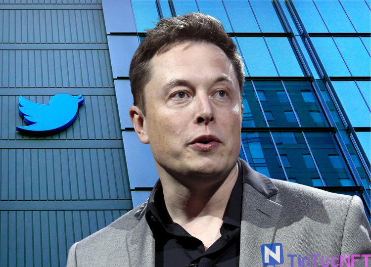 Elon Musk sẽ không tham gia vào ban quản trị của Twitter?