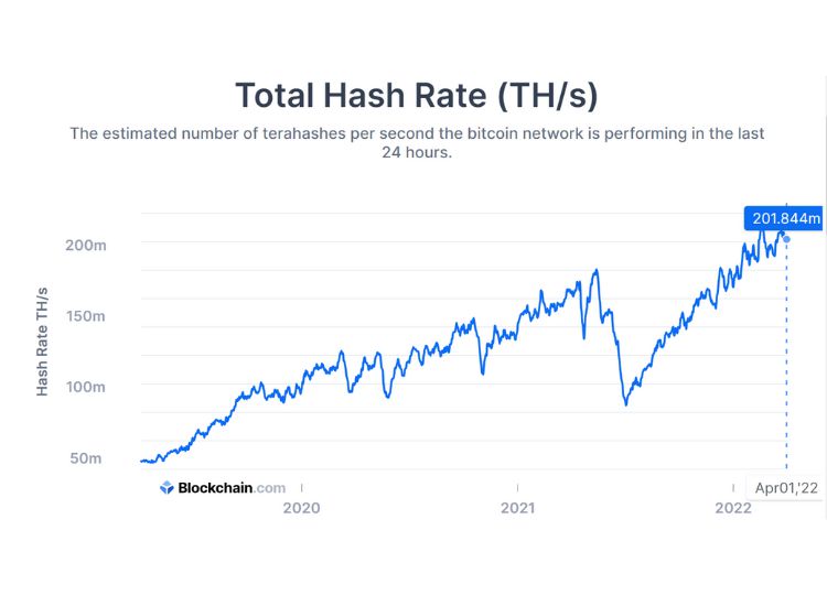 Bitcoin hash rate over the past three years. Source: Blockchain.com
