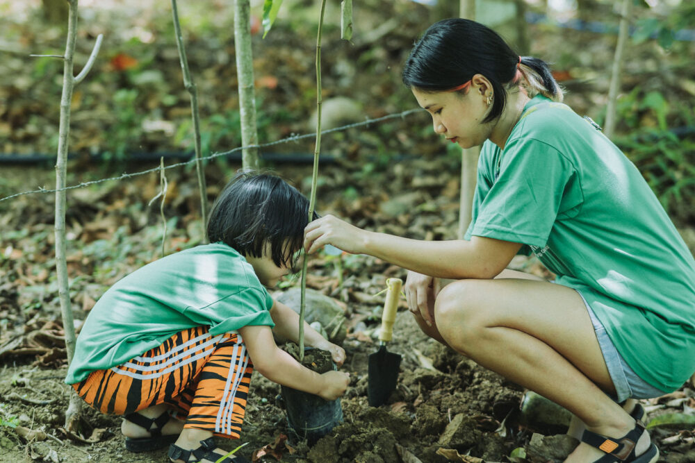 plant to Earn