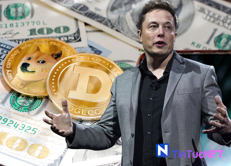 Elon Musk khẳng định tiềm năng của Dogecoin, việc mua Twitter tạm dừng