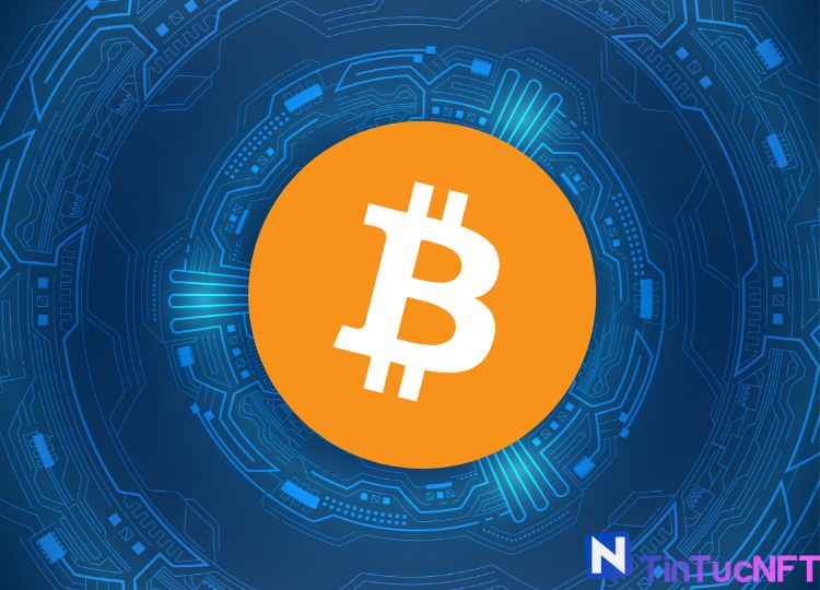 Logo Bitcoin và những câu chuyện đằng sau