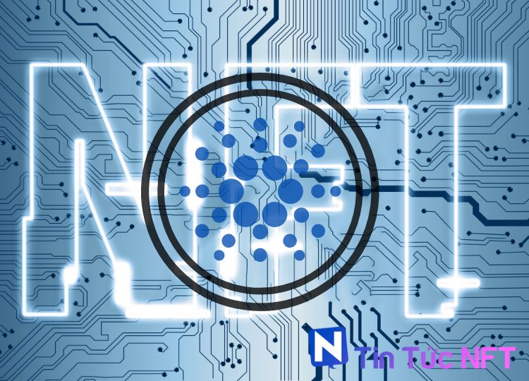 Cardano lọt Top 3 chuỗi NFT hàng đầu, với lượng giao dịch khủng