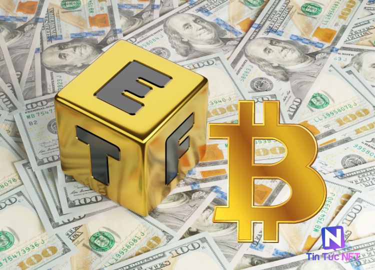 Bitcoin ETF là gì? Có bao nhiêu loại Bitcoin ETF?